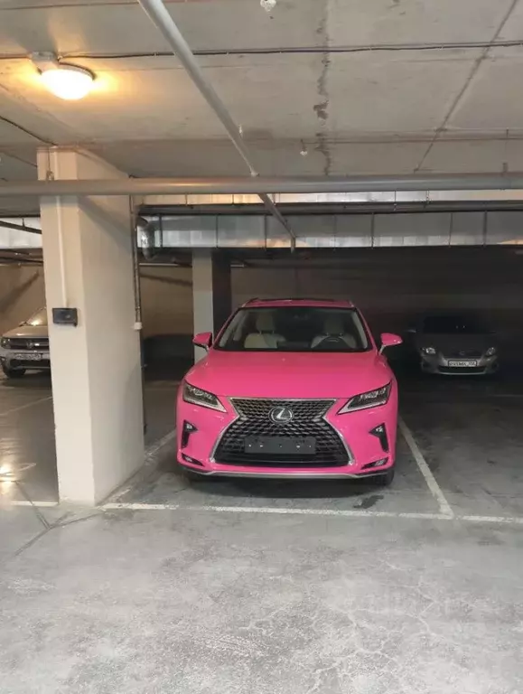 Гараж в Новосибирская область, Новосибирск ул. Дуси Ковальчук, 248/1 ... - Фото 2