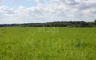 Участок в Новосибирская область, Искитимский район, Шибковский ... - Фото 1