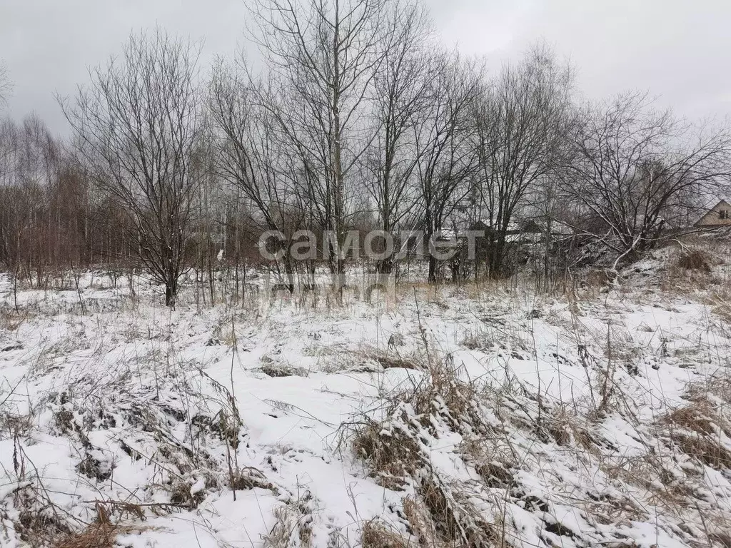 Участок в Нижегородская область, Нижний Новгород д. Новая,  (8.0 сот.) - Фото 1