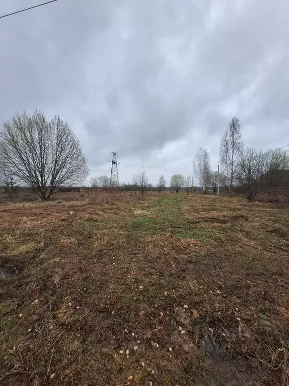 Участок в Владимирская область, Александровский район, Каринское ... - Фото 1