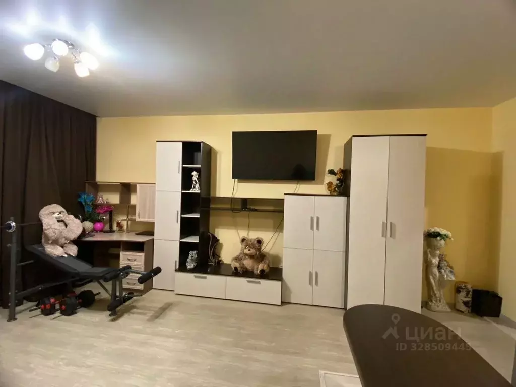 Студия Новосибирская область, Новосибирск ул. Виктора Уса, 4 (31.0 м) - Фото 2