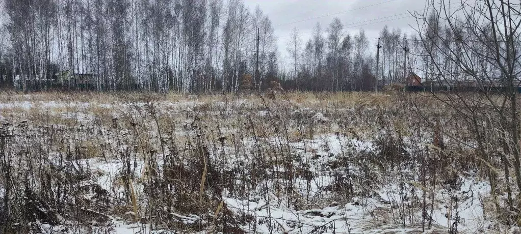 Участок в Московская область, Кашира Ожерелье мкр, ул. Березовая ... - Фото 1