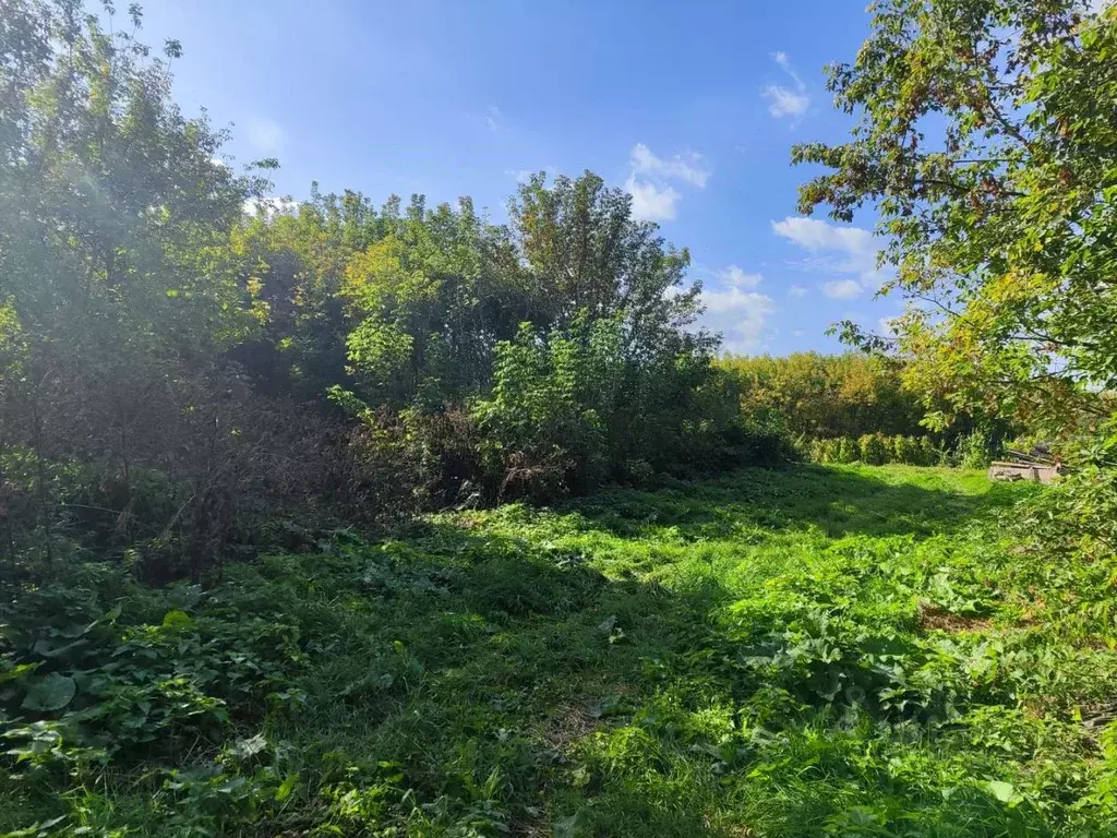 Участок в Тульская область, Кимовский район, Новольвовское с/пос, с. ... - Фото 1