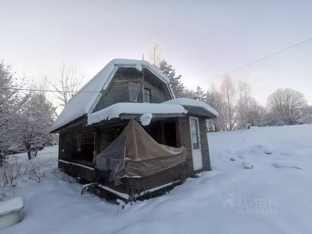 Дом в Новгородская область, Валдайский район, Яжелбицкое с/пос, ... - Фото 1