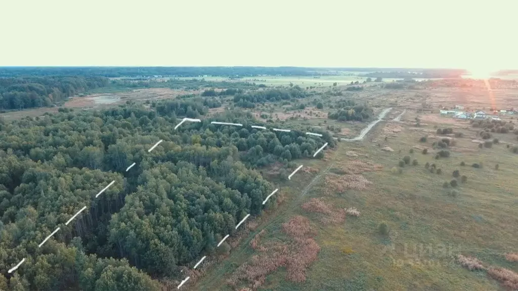 Участок в Ленинградская область, Ломоносовский район, Лопухинское ... - Фото 2
