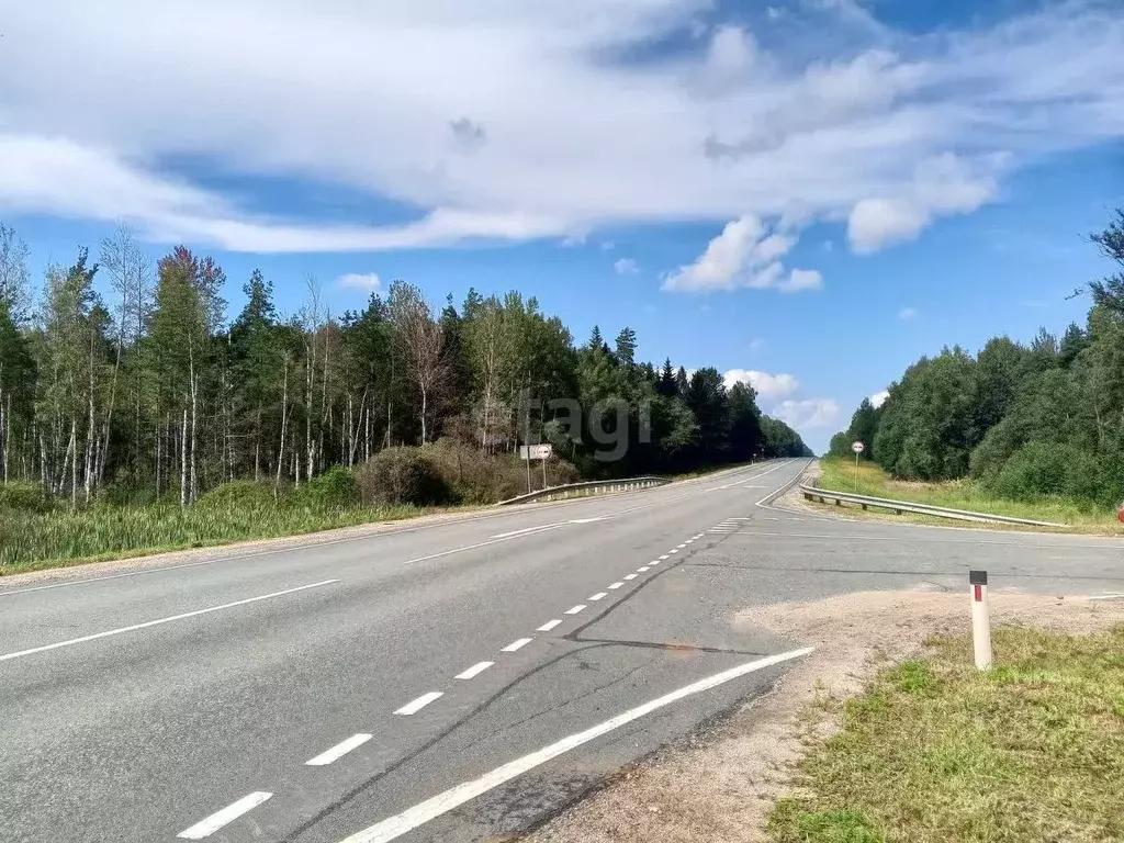 Участок в Псковская область, Пушкиногорский район, Велейская волость, ... - Фото 1