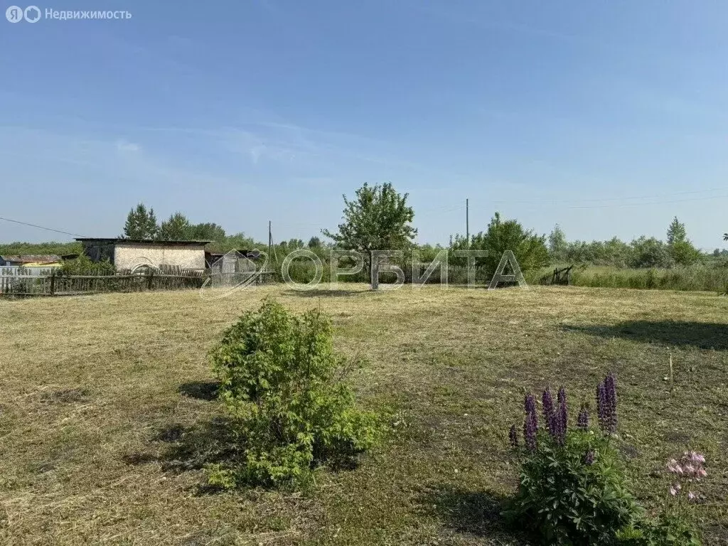 Участок в Тюменский муниципальный округ, садоводческое некоммерческое ... - Фото 1