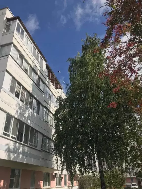 2-к кв. Башкортостан, Агидель ул. Академика Курчатова, 1/11 (42.5 м) - Фото 2