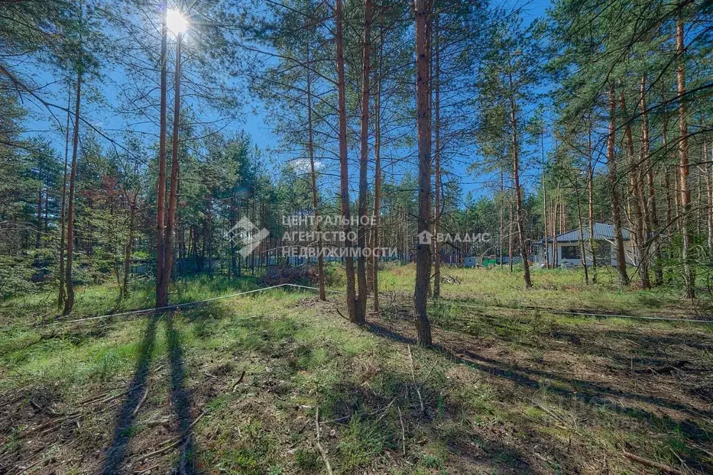 Участок в Рязанская область, Рязанский район, Дубровическое с/пос, с. ... - Фото 1