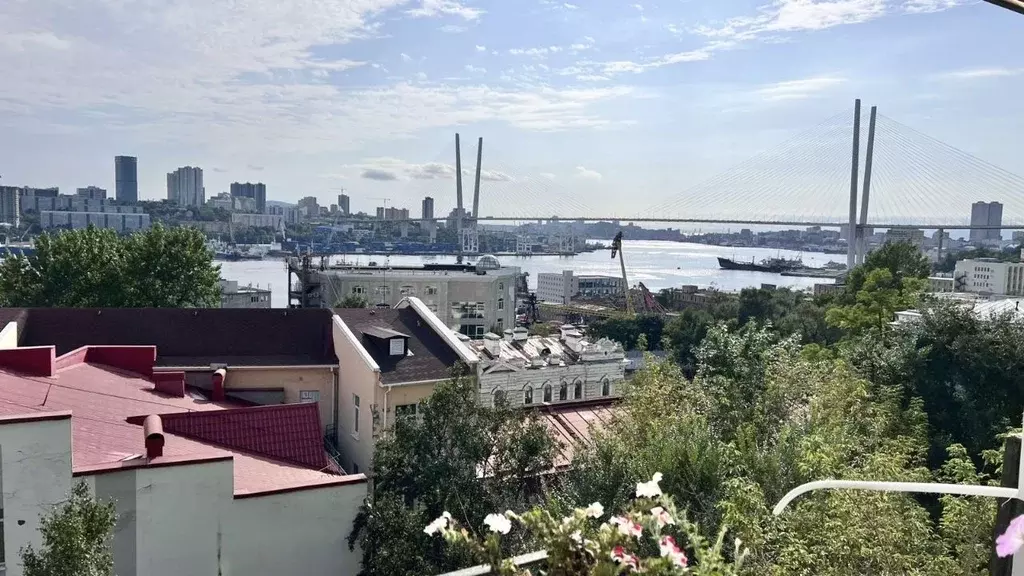 2-к кв. Приморский край, Владивосток Пушкинская ул., 34 (64.6 м) - Фото 0