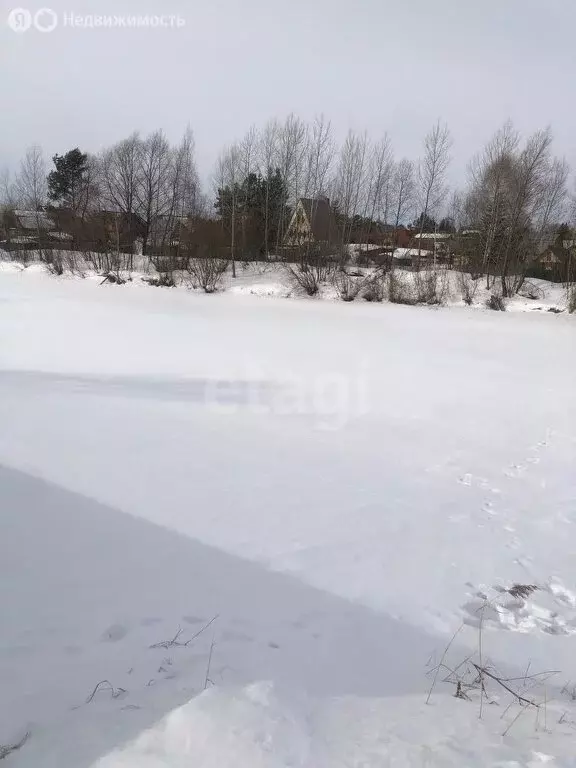 Участок в Новосибирск, садовое товарищество Театральный, Береговая ... - Фото 1