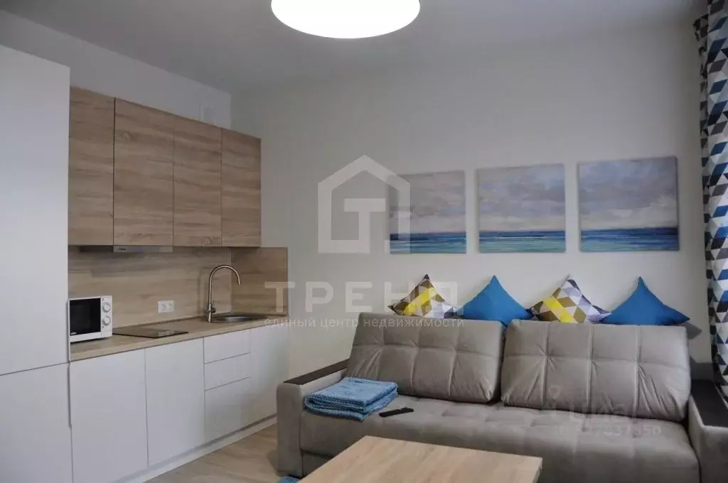 Студия Санкт-Петербург Усть-Славянка тер., ул. Заводская, 15 (23.9 м) - Фото 1