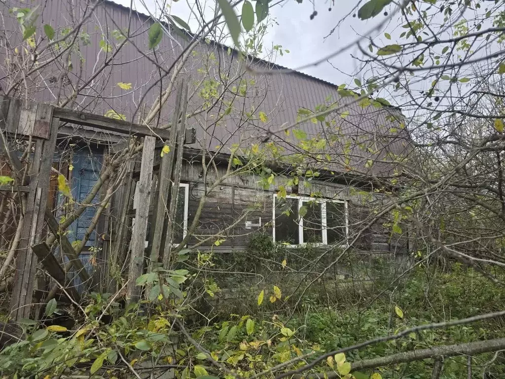 Дом в Брянская область, Выгоничское городское поселение, с. Городец ... - Фото 1