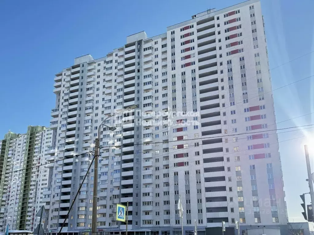 1-к кв. Санкт-Петербург пос. Шушары, ул. Вишерская, 24 (34.4 м) - Фото 1