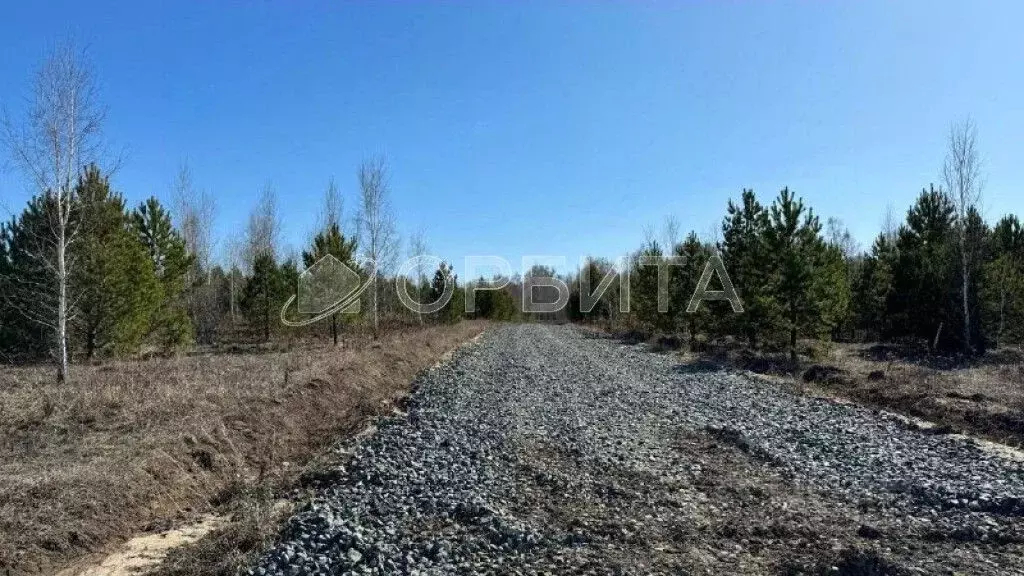 Участок в Тюменская область, Тюменский район, Онегин кп ул. Евгения ... - Фото 1
