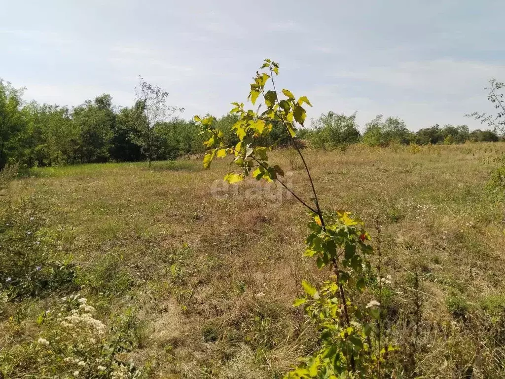 Участок в Белгородская область, Белгородский район, Беломестненское ... - Фото 0