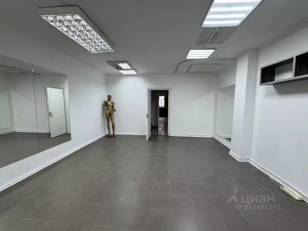 Офис в Самарская область, Самара ул. Пушкина, 268 (61 м) - Фото 1