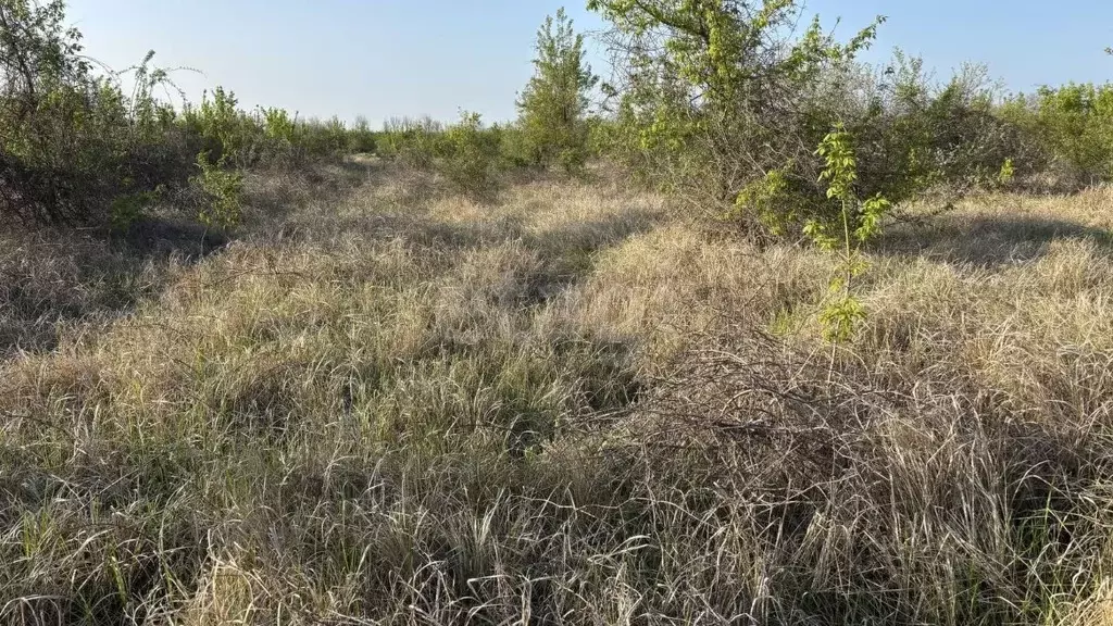 Участок в Краснодарский край, Анапа муниципальный округ, пос. Верхнее ... - Фото 1