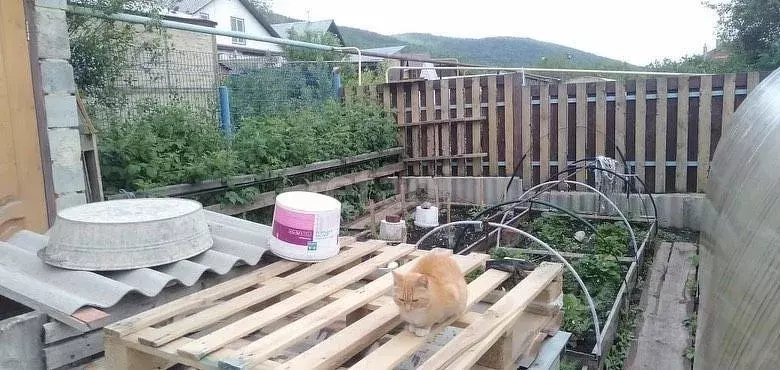 Миасс Этажи Купить Землю