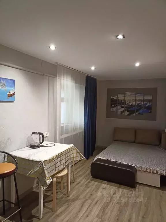 Студия Псковская область, Псков Вокзальная ул., 34А (24.0 м) - Фото 1