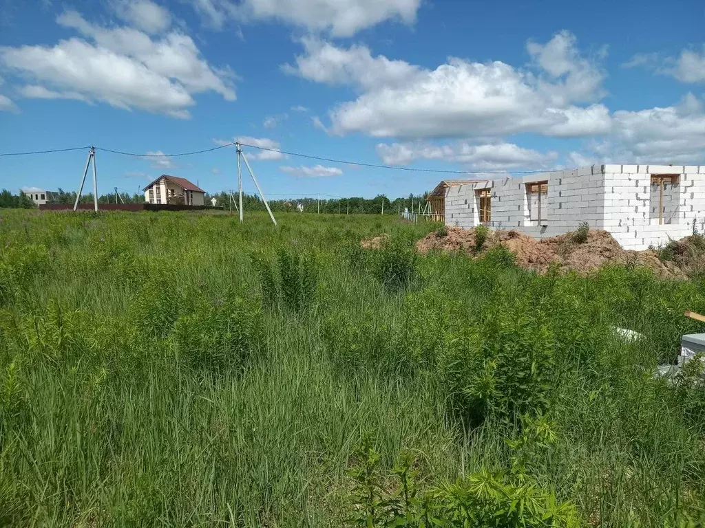 Участок в Нижегородская область, Богородский муниципальный округ, ... - Фото 1