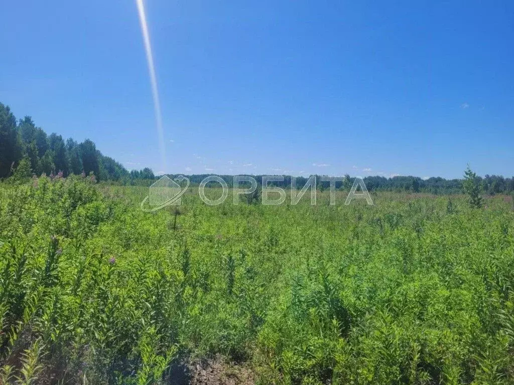 Участок в Тюменская область, Тюменский район, с. Кулига, Кулига-2 мкр  ... - Фото 0