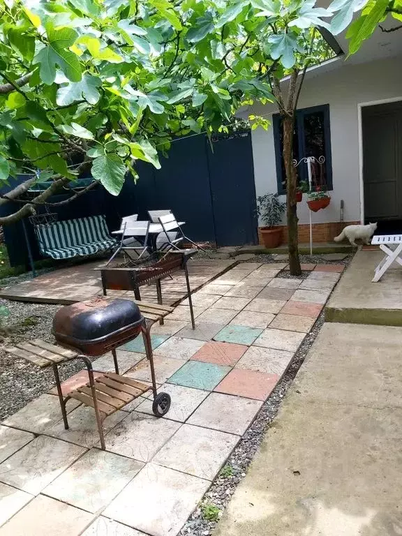 Дом в Краснодарский край, Сочи Каспийская ул., 29 (53 м) - Фото 1