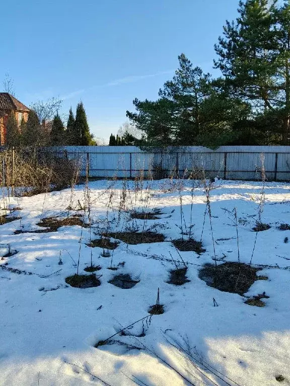 Продается участок в д. Осеченки - Фото 1