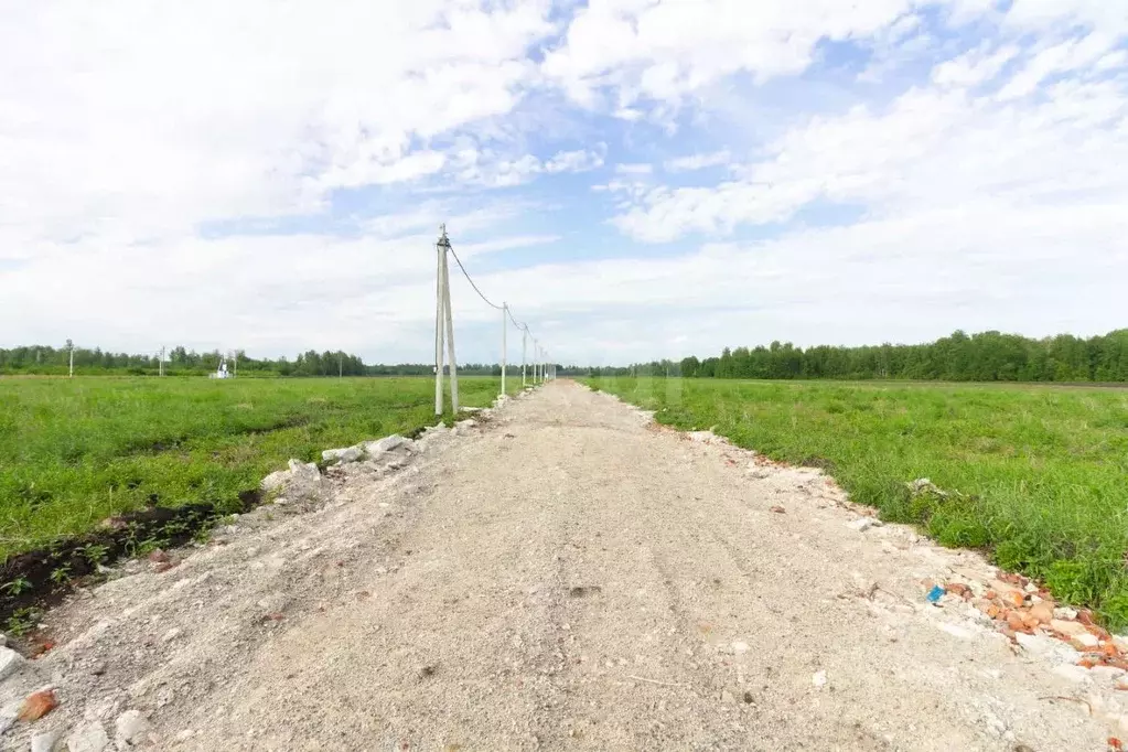 Участок в Тюменская область, Тюменский муниципальный округ, с. ... - Фото 1