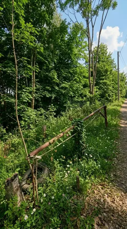 Участок в Приморский край, Артем ул. 1-я Рабочая (9.41 сот.) - Фото 2