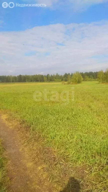 Участок в Нижнетавдинский район, коттеджный посёлок Земляника (447 м) - Фото 0