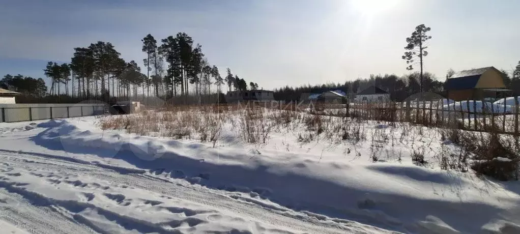 Участок 16 сот. (СНТ, ДНП) - Фото 1