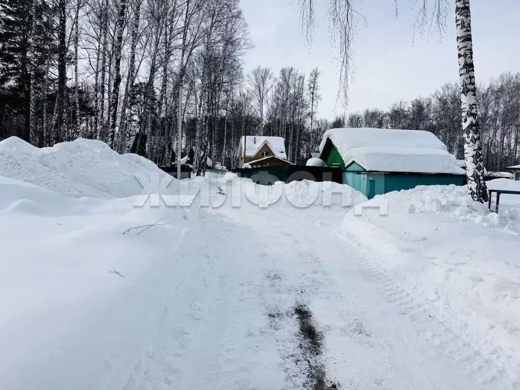 Участок в Новосибирская область, Новосибирск Черемушки СНТ,  (12.0 ... - Фото 2