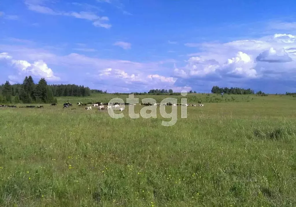 Участок в Свердловская область, Нижний Тагил городской округ, с. ... - Фото 0