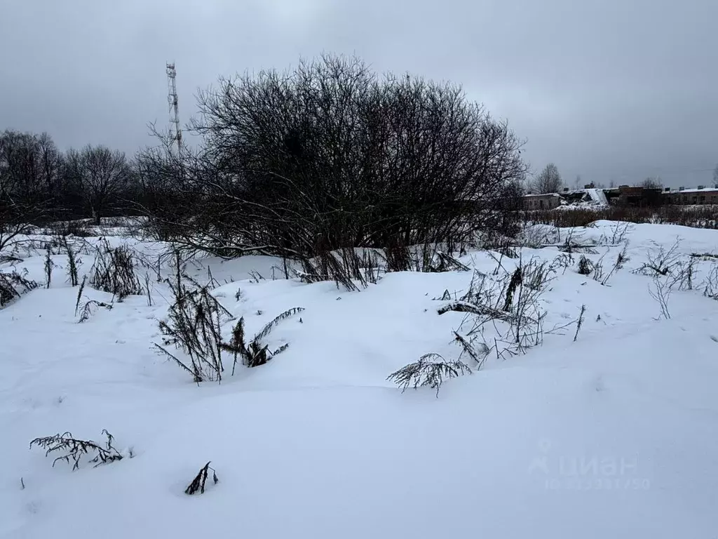 Участок в Московская область, Пушкинский городской округ, Царевское ... - Фото 0