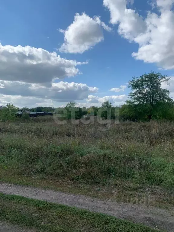 Участок в Ульяновская область, Тереньгульский район, Подкуровское ... - Фото 2