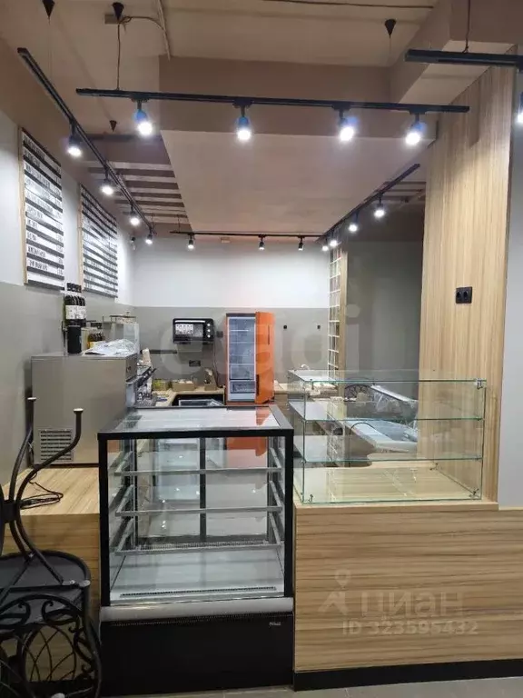 Помещение свободного назначения в Воронежская область, Воронеж ул. ... - Фото 1