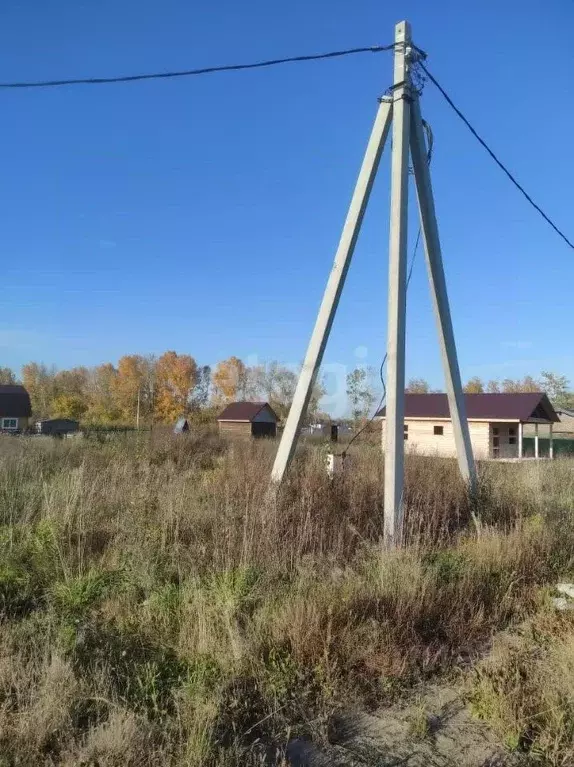 Участок в Новосибирская область, Новосибирский район, Морской ... - Фото 0