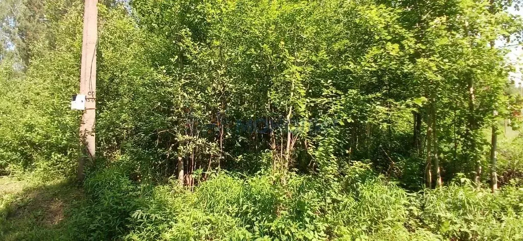 Участок в Нижегородская область, Дальнеконстантиновский муниципальный ... - Фото 2