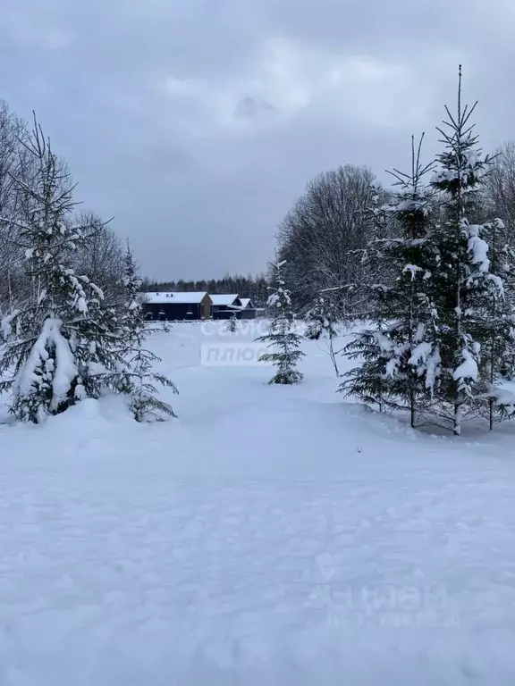 Участок в Московская область, Дмитровский муниципальный округ, д. ... - Фото 0