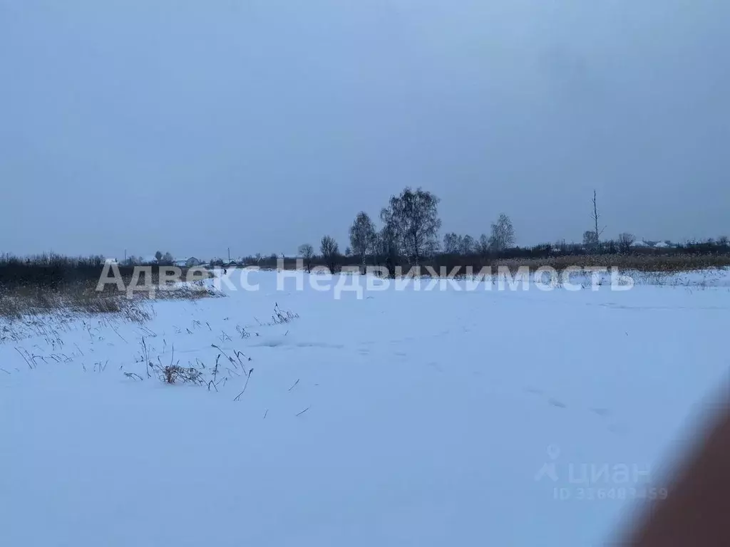 Участок в Тюменская область, Тюмень Садовое товарищество Липовый ... - Фото 1