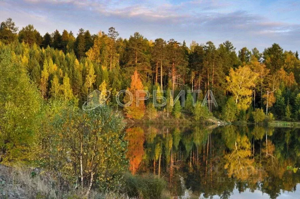 Участок в Свердловская область, Ревда городской округ, пос. Ледянка  ... - Фото 0