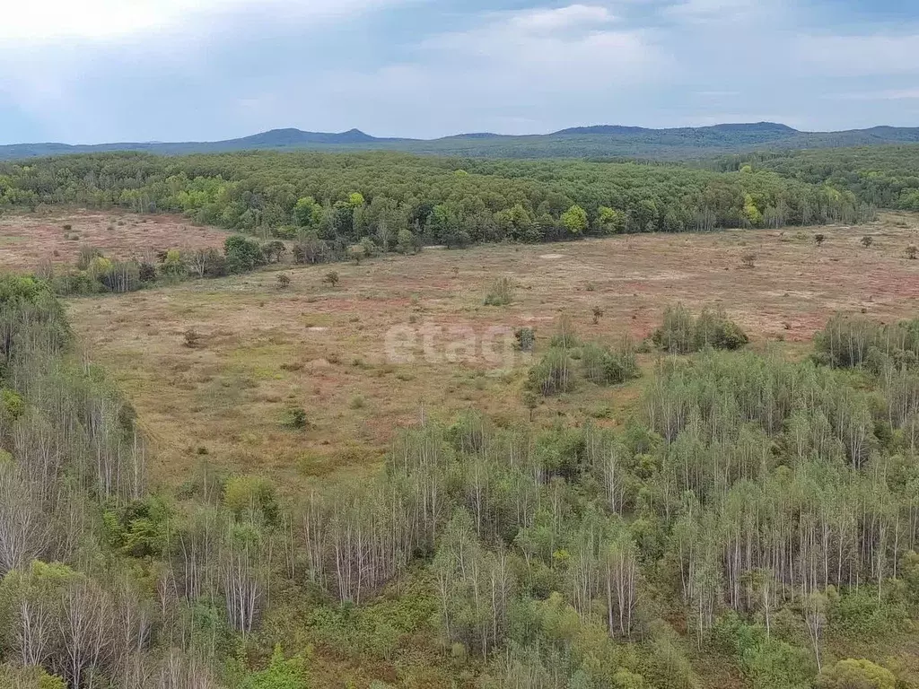 Участок в Хабаровский край, Хабаровский район, с. Корсаково-2  (310.0 ... - Фото 1