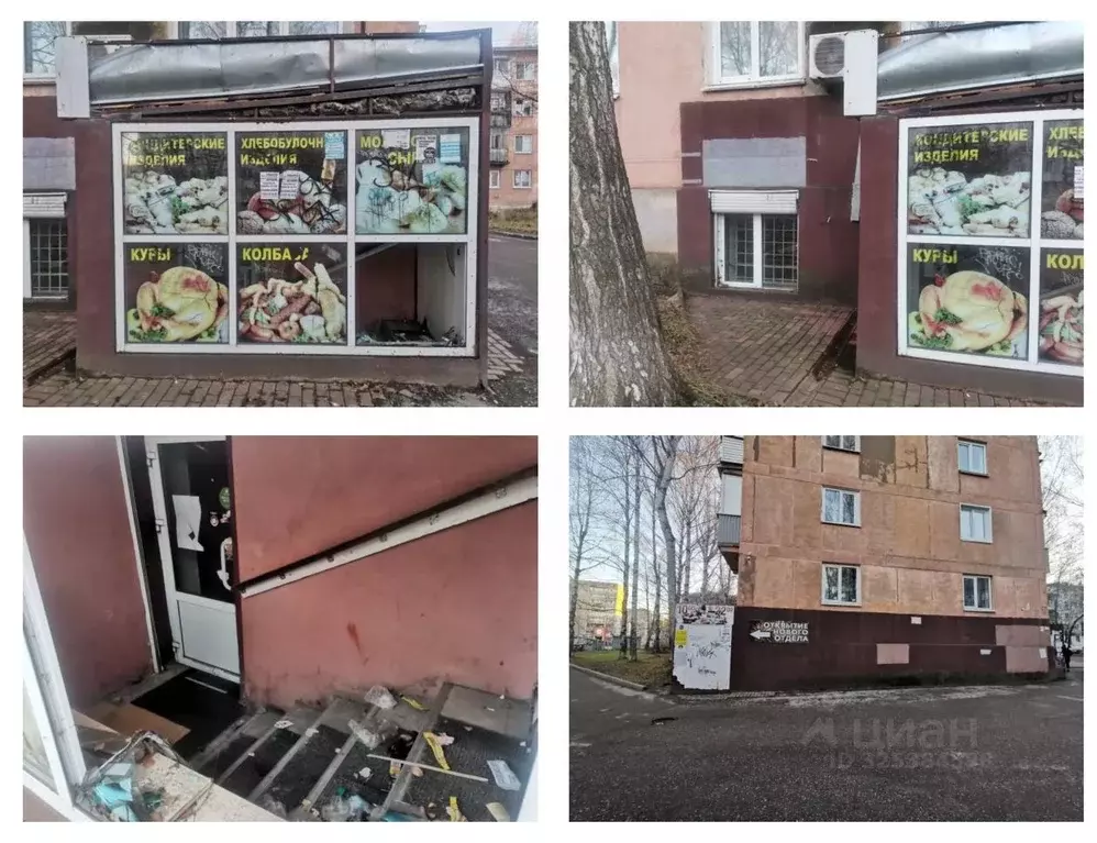 Помещение свободного назначения в Удмуртия, Ижевск ул. 30 лет Победы, ... - Фото 1