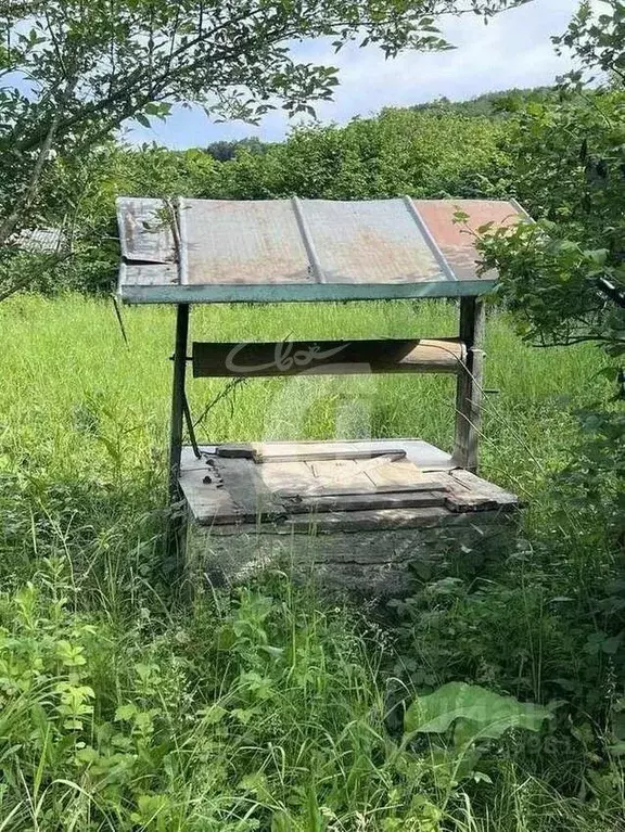 Участок в Краснодарский край, Апшеронский район, Куринское с/пос, ... - Фото 2