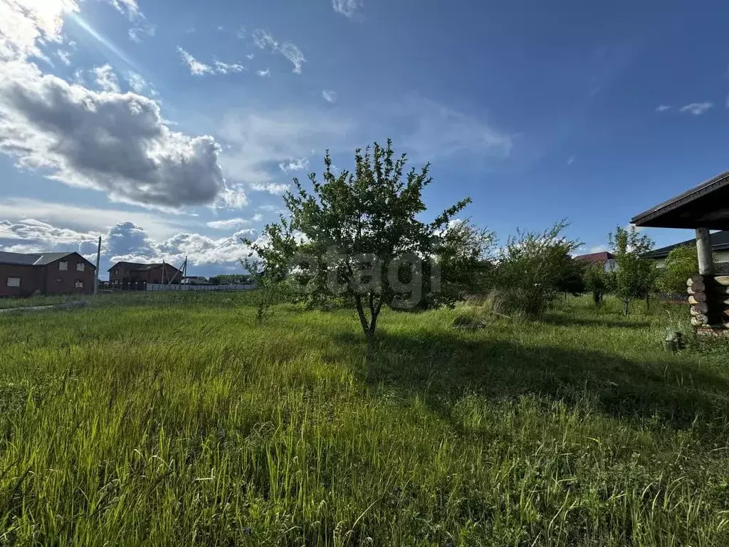 Участок в Мордовия, Саранск городской округ, Николаевка рп ул. ... - Фото 2