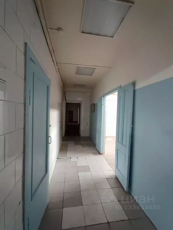 Помещение свободного назначения в Новосибирская область, Новосибирск ... - Фото 1