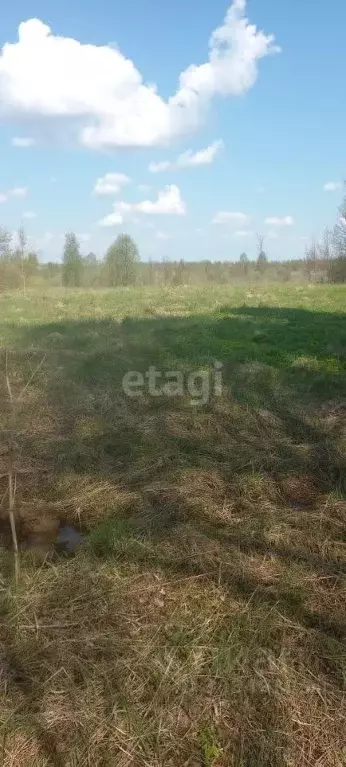Участок в Псковская область, Островский район, Воронцовская волость, ... - Фото 0