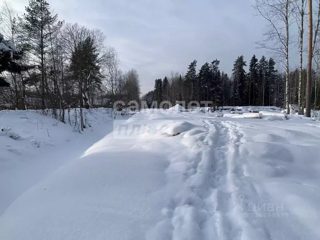 Участок в Ленинградская область, Тосно г. Тосненский район, Тосненское ... - Фото 2