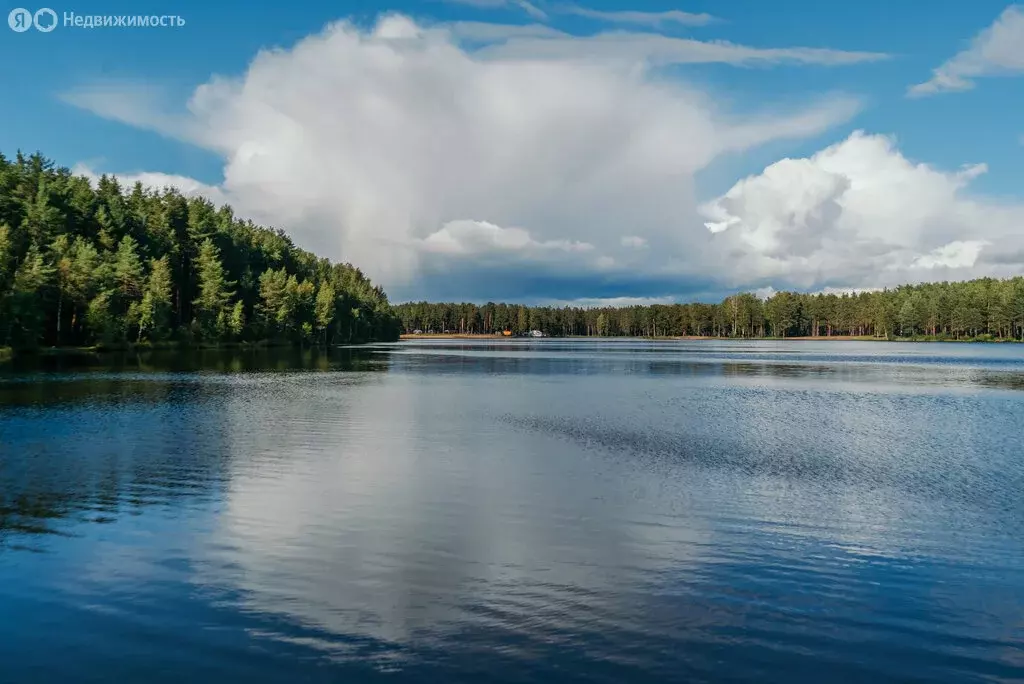 Участок в Колтушское городское поселение, коттеджный посёлок Крокусы ... - Фото 1